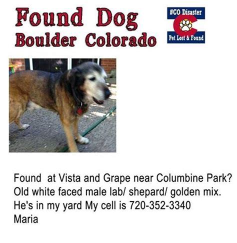Do NOT contact this poster with unsolicited services or offers. . Craigslist pets colorado springs